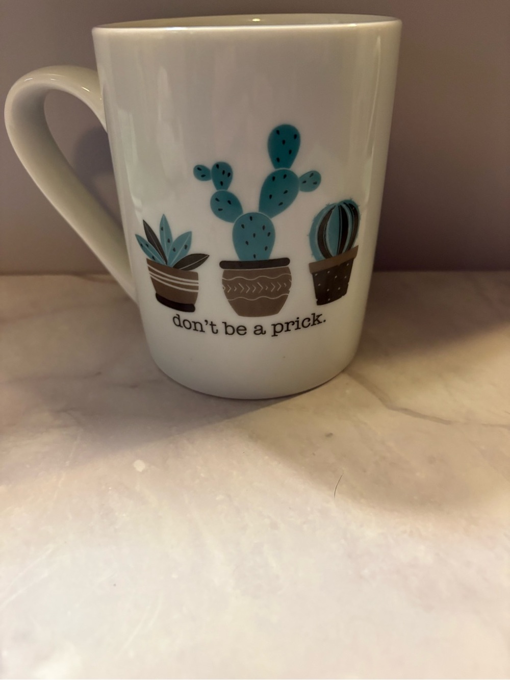 White Ceramic Mug with Teal Cactus Design and Humorous Quote